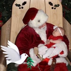 Meet your Posher, Dan